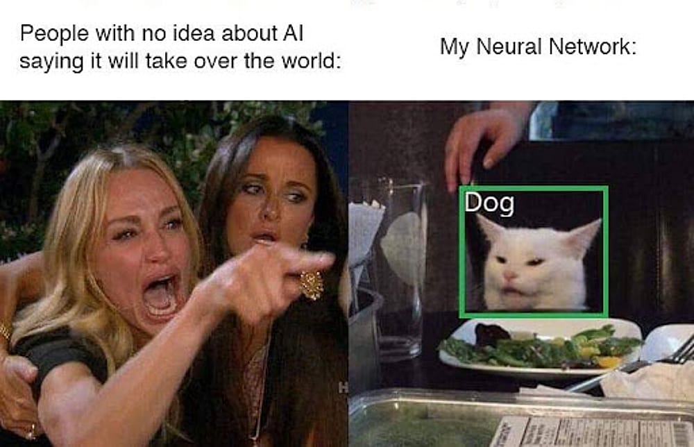 #2 Data Science Meme - Source:&nbsp;Matthew McAteer