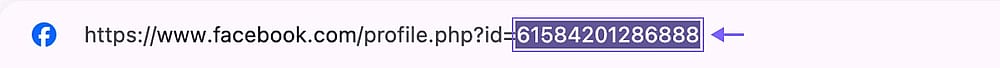 An image showing the area of the appeared URL where you can copy the Page ID