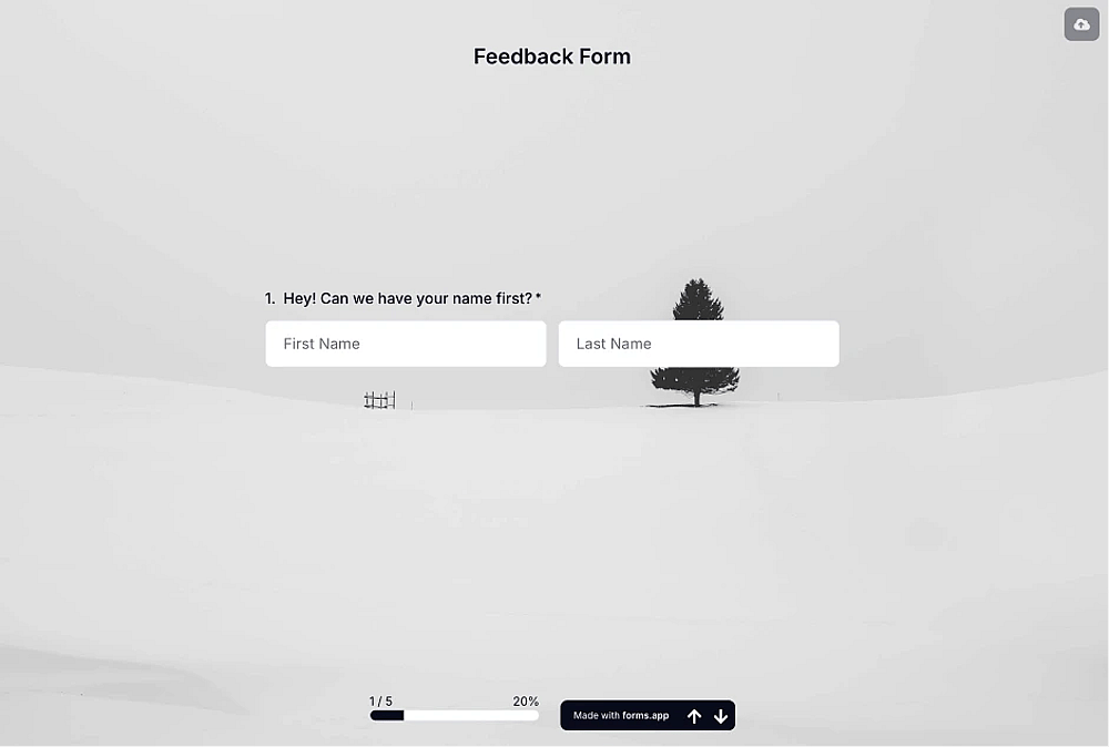 An image showing an example of a chosen and applied image from Unsplash to your form