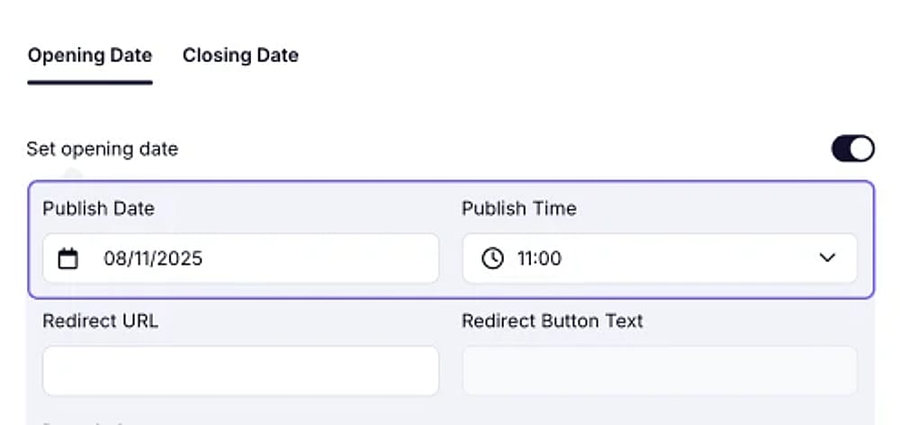 An image showing an example of an entered form’s publish date and time in the needed area