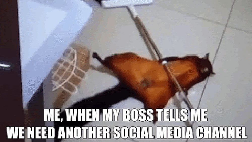#24 Social Media Meme - Source:&nbsp;Giphy