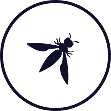 OWASP