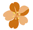 discount image