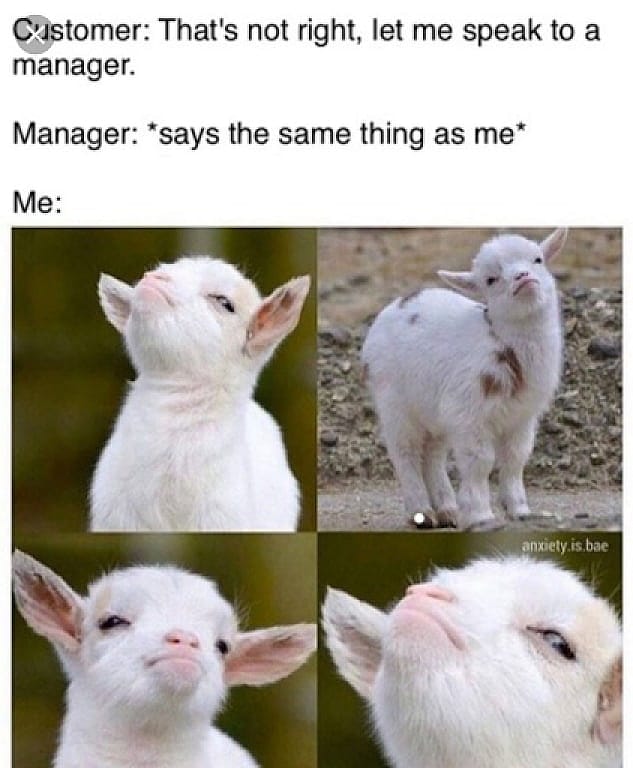 #32 Customer Service Meme - Source:&nbsp;what to expect