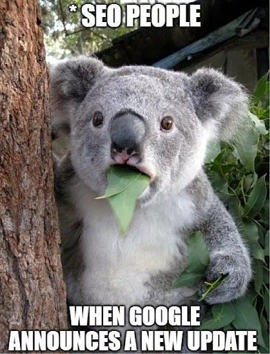 #6 SEO meme - Source:&nbsp;Digichefs