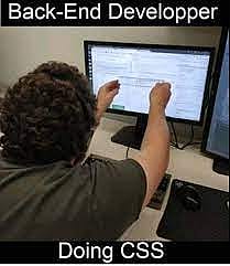 #35 Developer Meme - Source: MemeArsenal