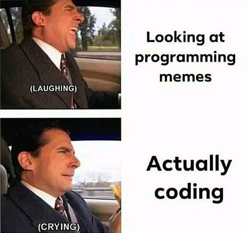 #49 Developer Meme - Source: CodeWithShani