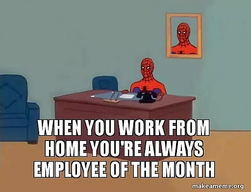 #18 Remote Work Meme - Source: WorkAndMoney