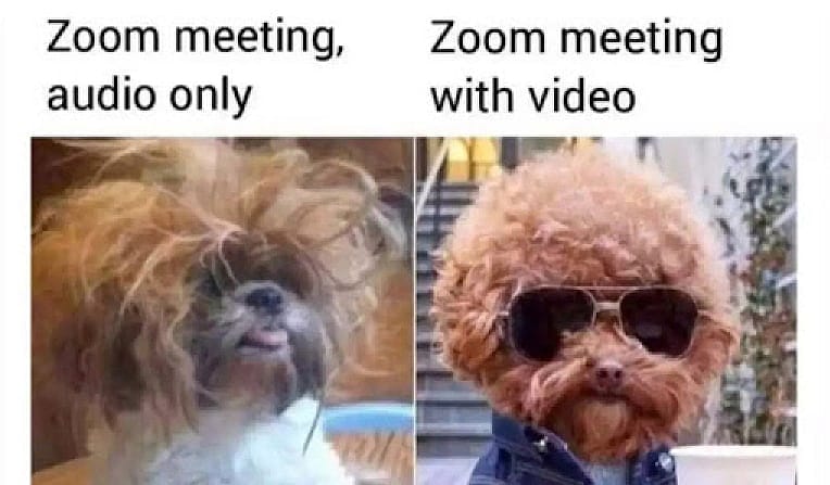 #23 Remote Work Meme - Source: TheTimesOfIndia