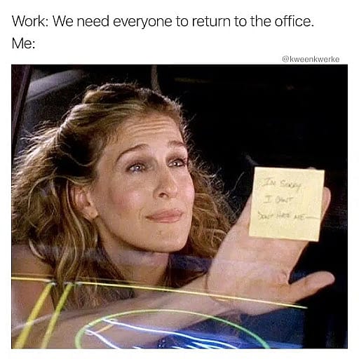 #31 Remote Work Meme - Source: withlovebecca
