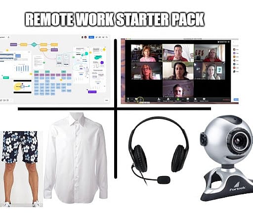 #40 Remote Work Meme - Source: Reddit