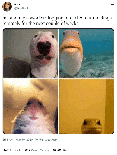 #48 Remote Work Meme - Source: actiTIME
