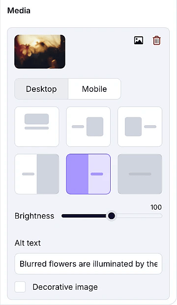 An image showing the layout options you can check by accessing the field settings