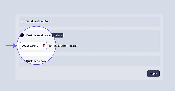 An image showing the section where you need to enter your custom subdomain name