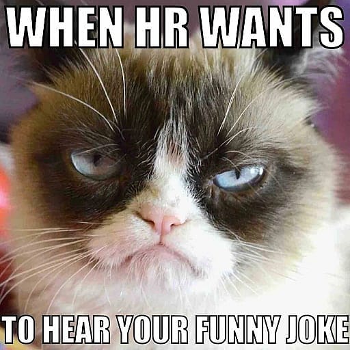 #2 HR meme - Source: digitalmomblog