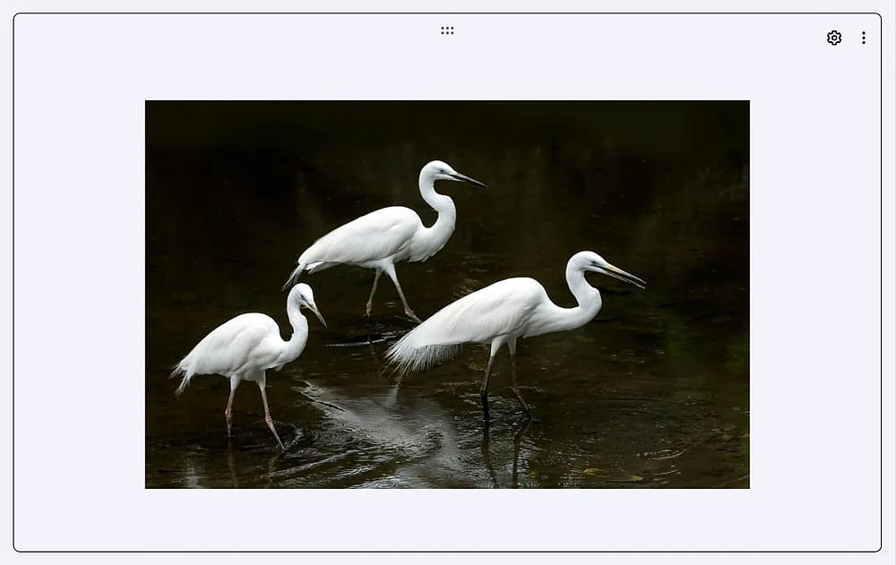 An image showing an example of the “Image Content” field used in the form