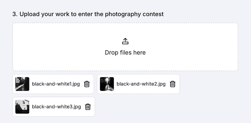 An image showing an example of the “Image Upload field” usage with the uploaded files by a respondent