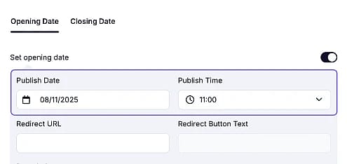 An image showing an example of an entered form’s publish date and time in the needed area