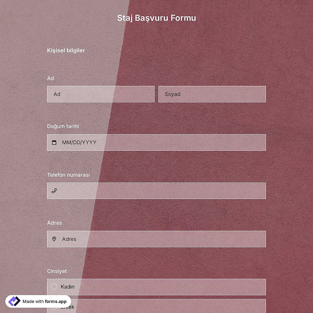 Staj Başvuru Formu Şablonu