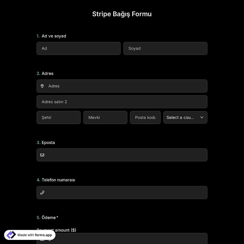 Stripe Bağış Formu Şablonu