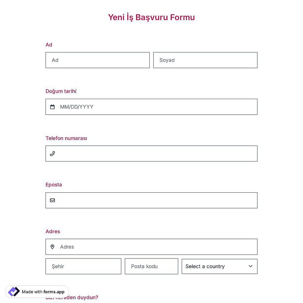 İş Başvuru Formu Şablonu