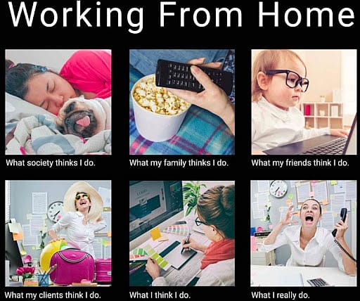 #3 Remote Work Meme - Source:&nbsp;Chanty