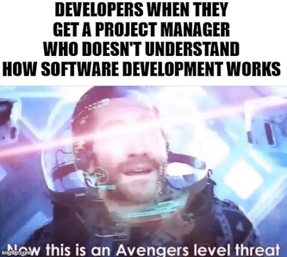 #19 Project Management Meme - Source: Plaky