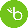 BambooHR
