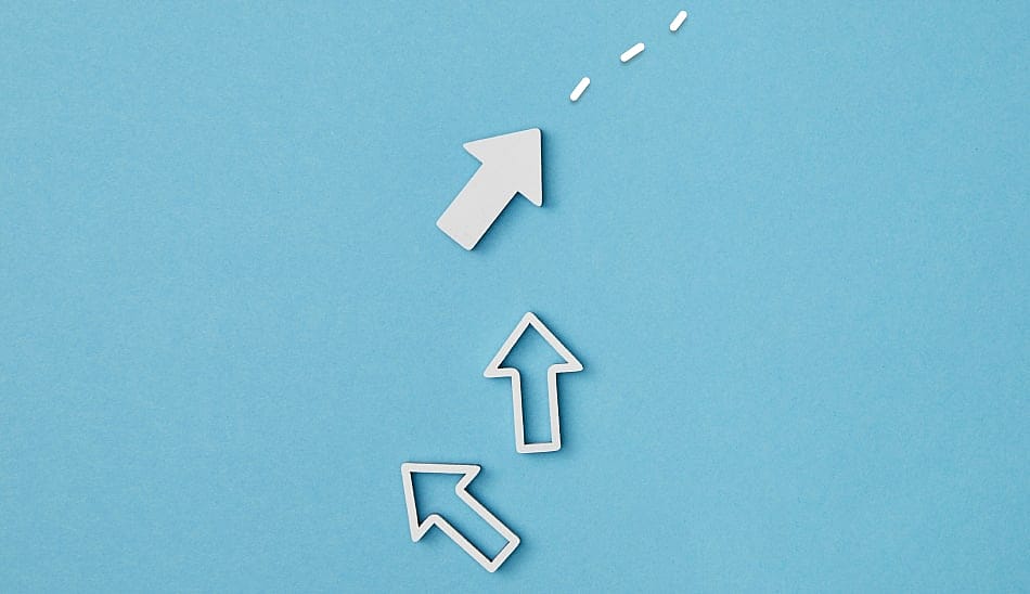 The beginner's guide to purposive sampling (Definition & examples)