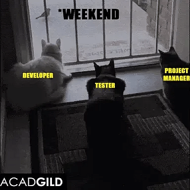 #37 Developer Meme - Source: Giphy