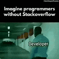 #39 🤔Developer Meme - Source:&nbsp;Giphy