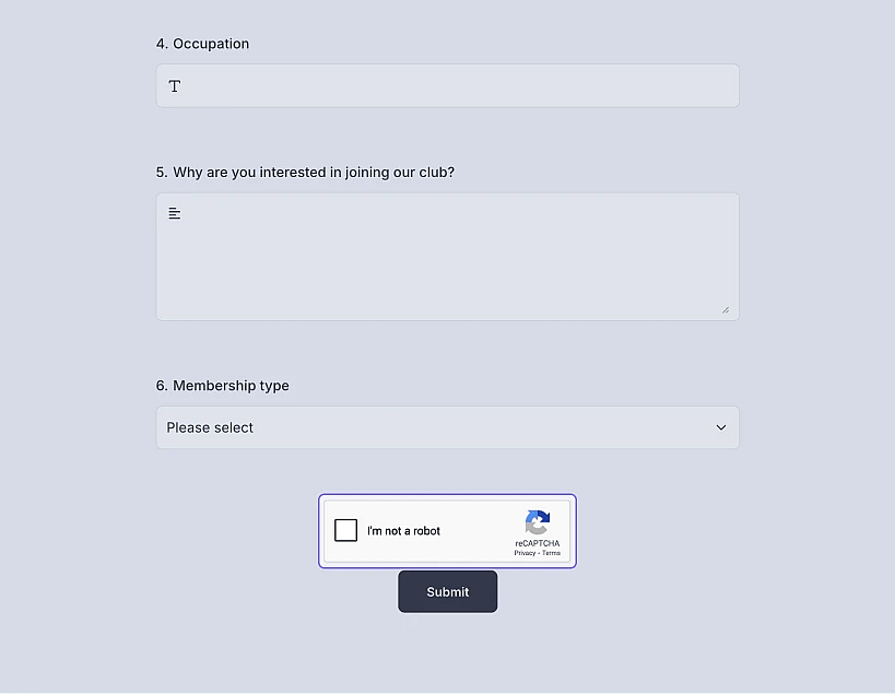 An image showing how the CAPTCHA will look once you open your form directly