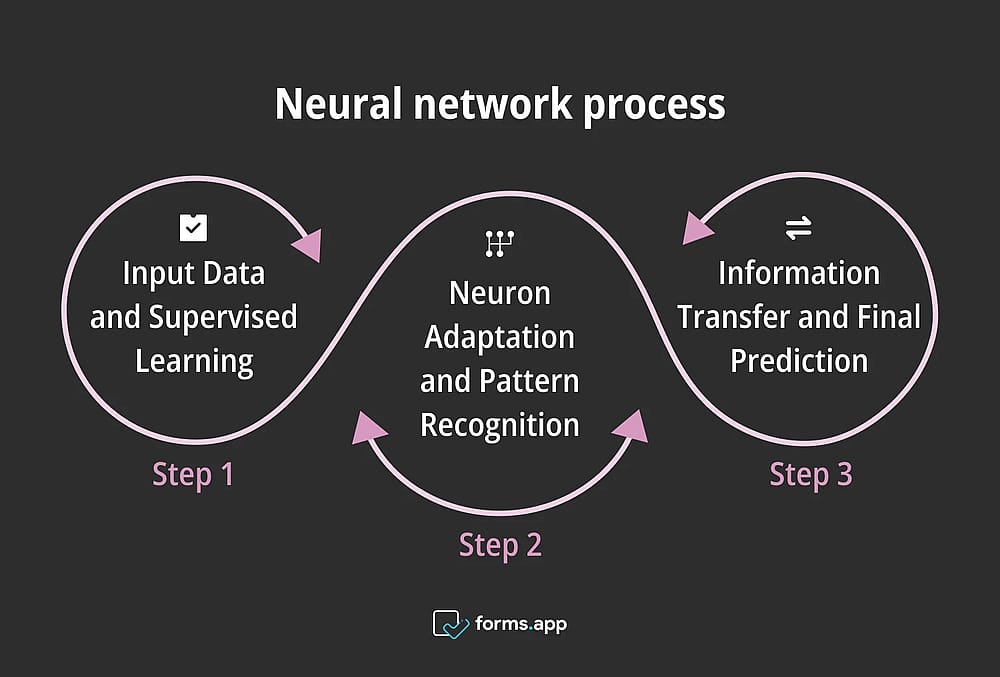 Neural network process