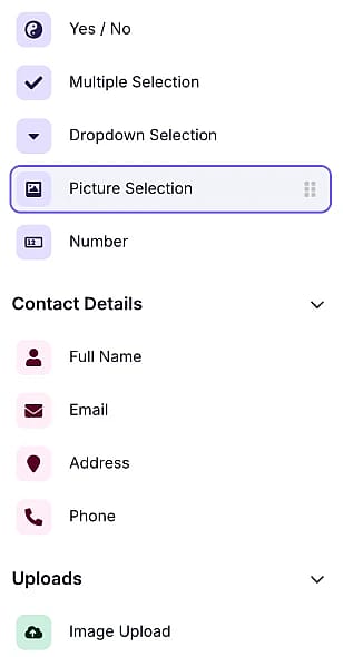 An image showing where the “Picture Selection” field is located in the field menu from within the “Build” section