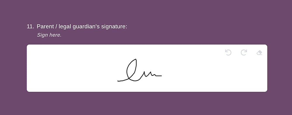 An image showing a filled-out “Signature” field example