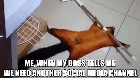 #24 Social Media Meme - Source: Giphy