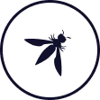 OWASP
