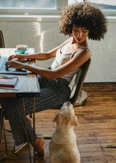 Formulaires de candidature