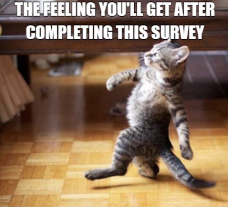 #13 survey meme - Source:&nbsp;Lawrence Arts Center