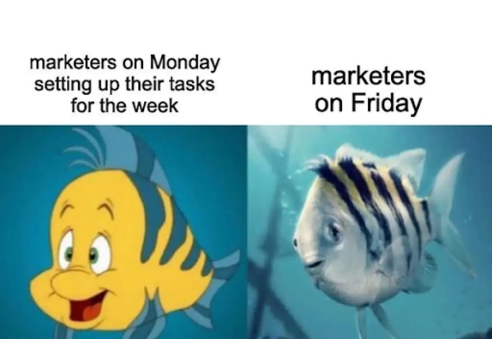 #23 B2B Marketing Meme - Quelle:&nbsp;Instagram