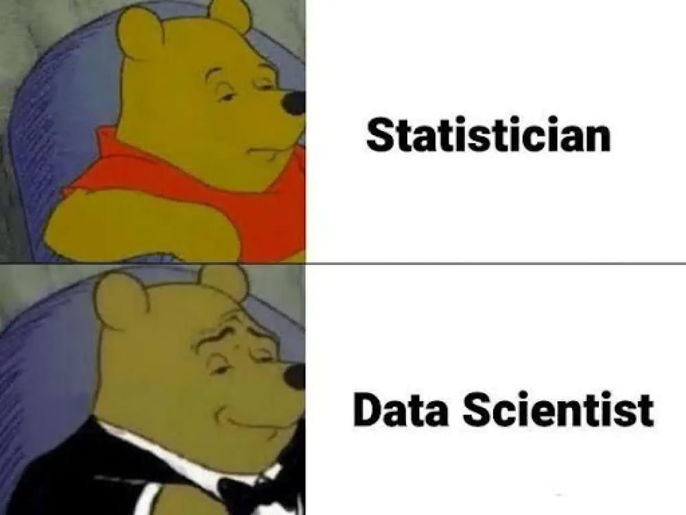 #9 Statistics Meme - Source:&nbsp;interviewquery