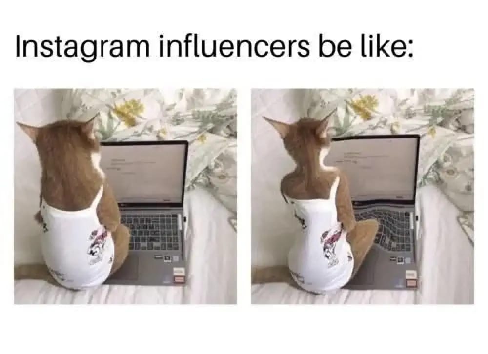 #24 Influencer Marketing Meme - Source:&nbsp;Pinterest