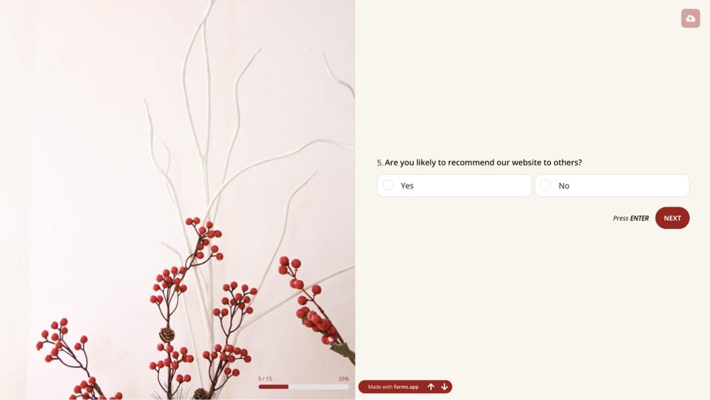 Web sitenizde kullanmak için bir açılır pencere anket sorusu