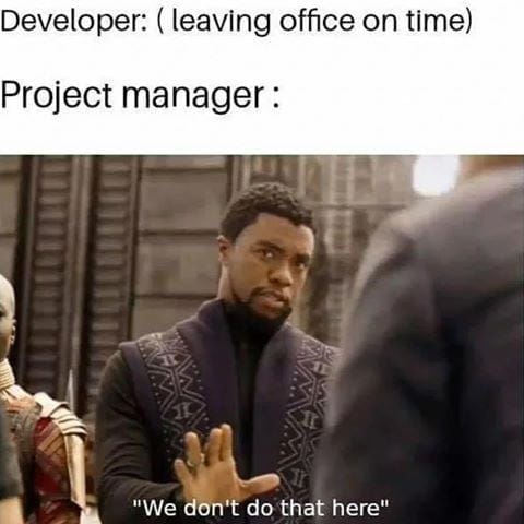 #9 Developer Meme - Source:&nbsp;devgenious