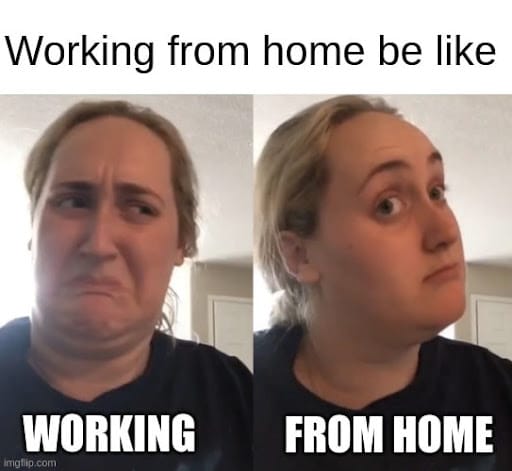 #12 Remote Work Meme - Source: Pumble