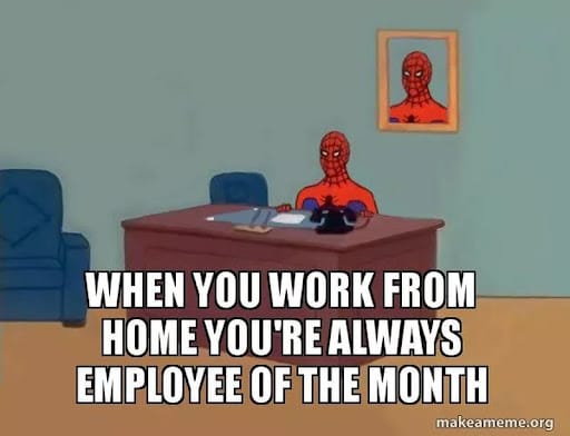 #18 Remote Work Meme - Source: WorkAndMoney