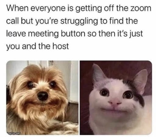 #39 Remote Work Meme - Source: ActivTrak