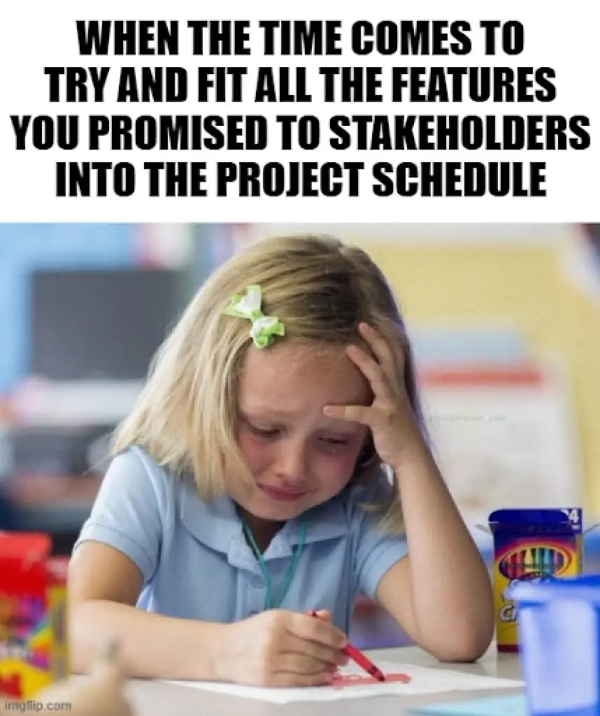 #15 Project Management Meme - Source:&nbsp;Plaky