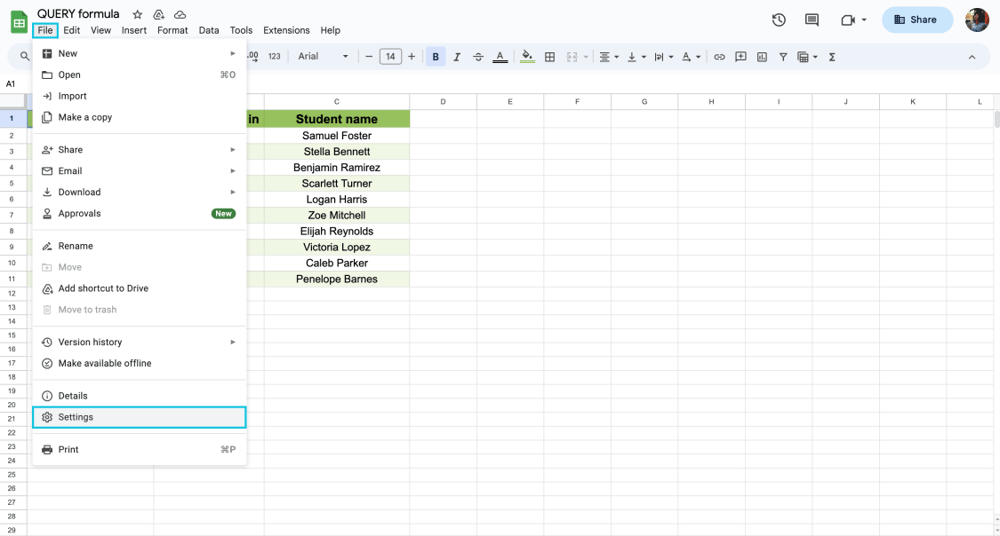Opening the file settings
