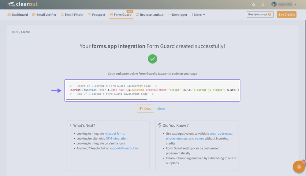 Copy the Form Guard code snippet